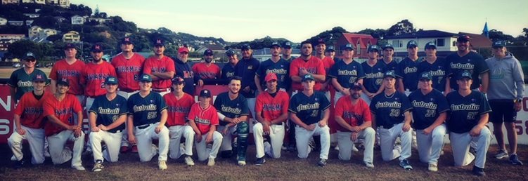 Domestic softball tournament
